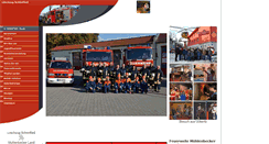 Desktop Screenshot of loeschzug-schoenfliess.de